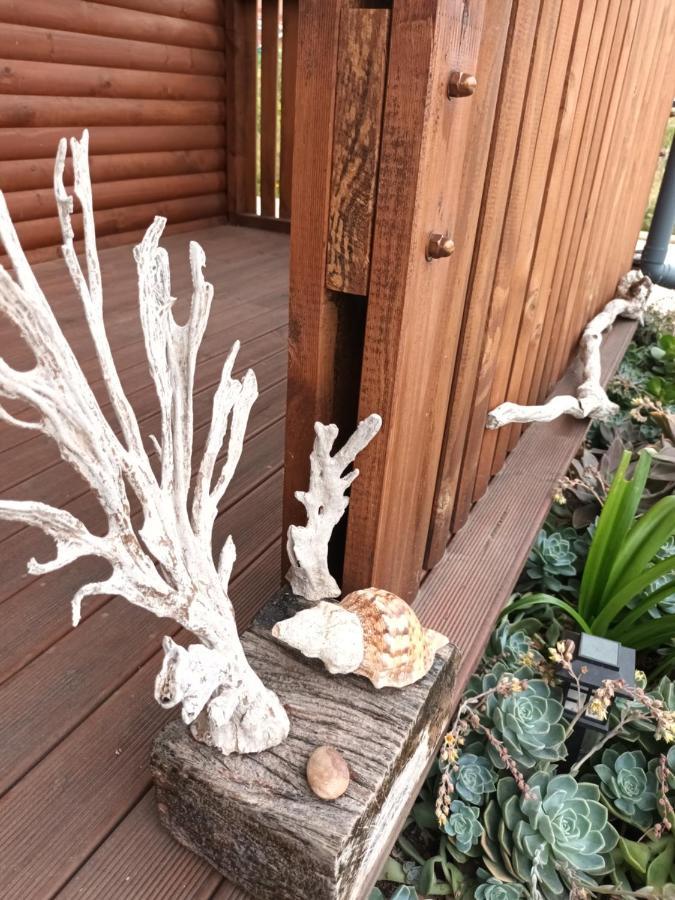 Chameleon Lodge Colchester Ngoại thất bức ảnh